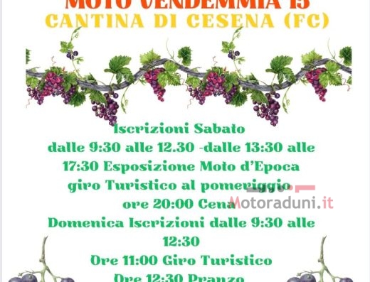 MOTORADUNO DELLA VENDEMMIA 15