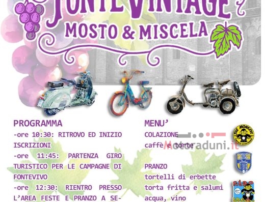 FONTE VINTAGE MOSTO & MISCELA