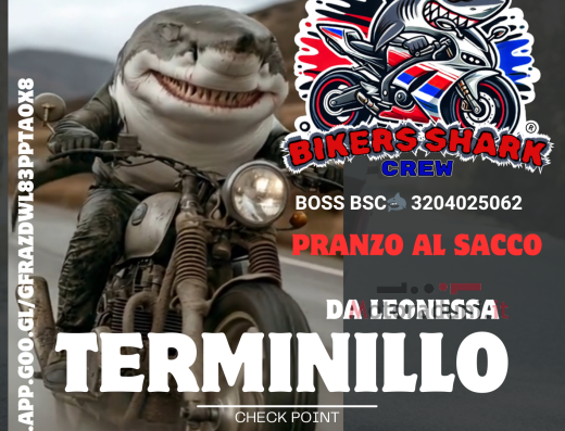 SHARK A TERMINILLO