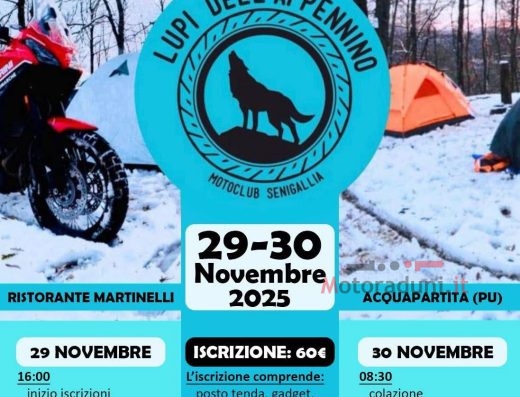 LUPI DELL’APPENNINO WINTER EDITION