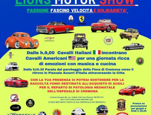 LIONS MOTOR SHOW